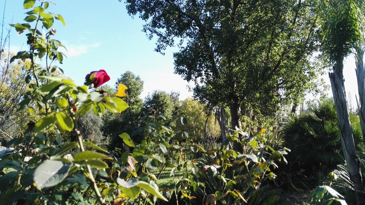Tenuta Le Pantanelle Vila Sezze Exterior foto